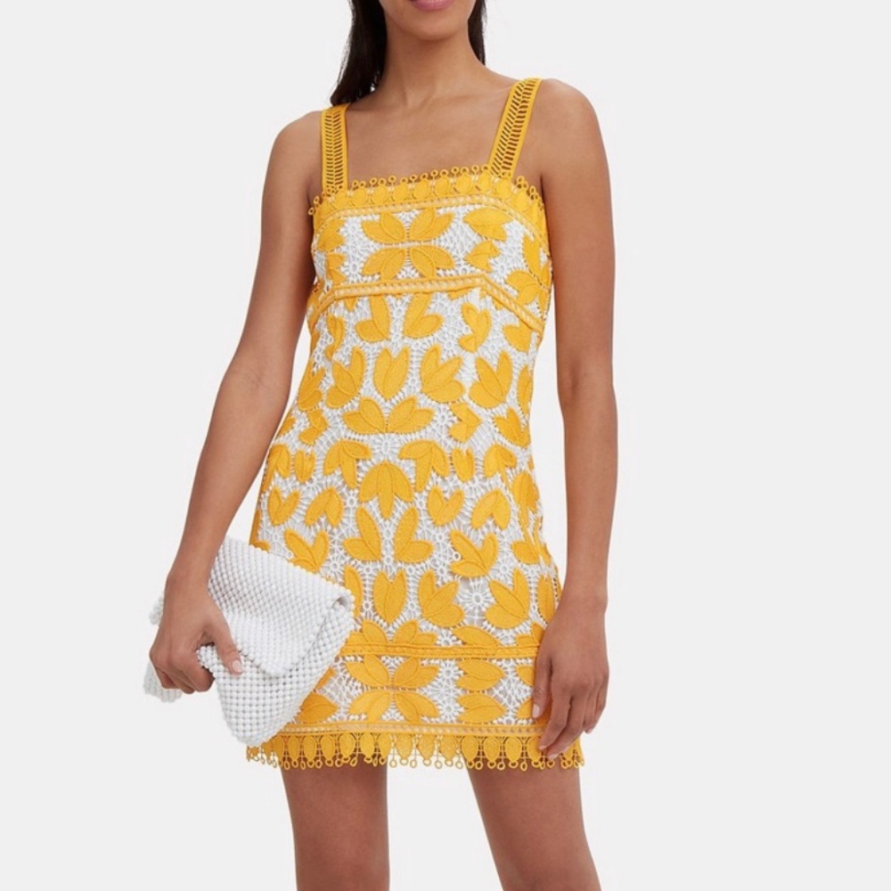 Stunning Saylor mini dress, tag says L but more like a size 4.